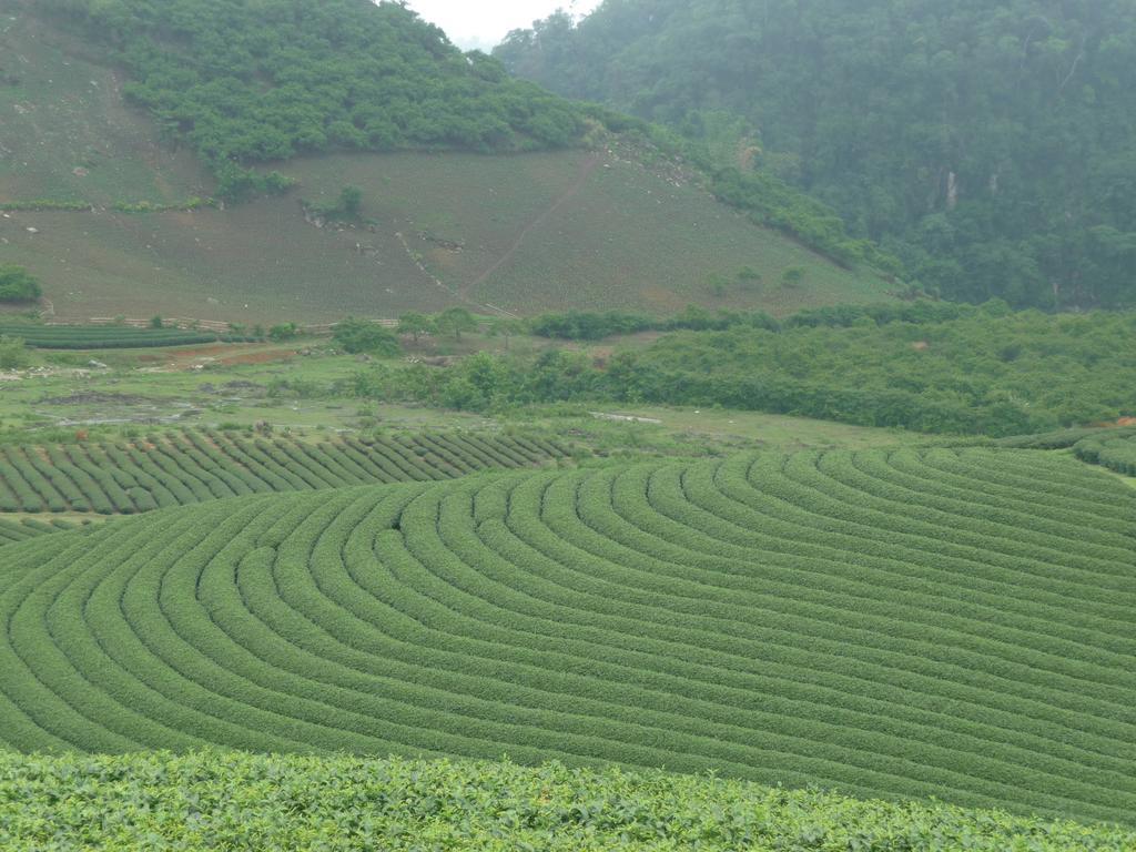 Mai Chau Valley View Hotel Hòa Bình Exteriör bild